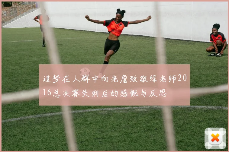 追梦在人群中向老詹致敬绿老师2016总决赛失利后的感慨与反思